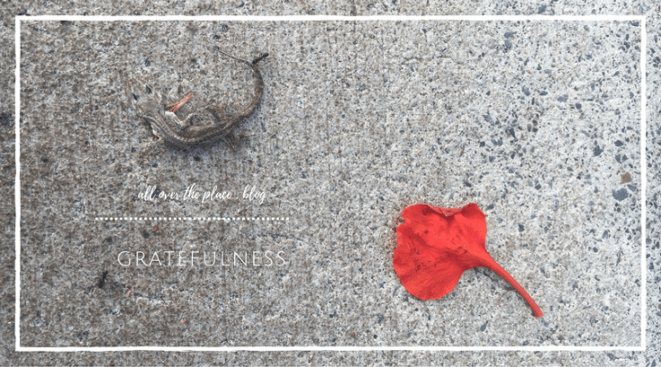 gratefulness-ants-lizard