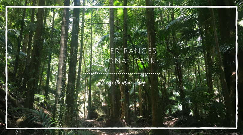 border-ranges-national-park-blog-bushwalking