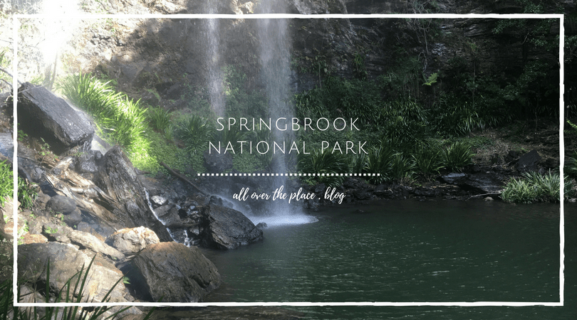 springbrook-national-park-warrie-circuit-waterfalls