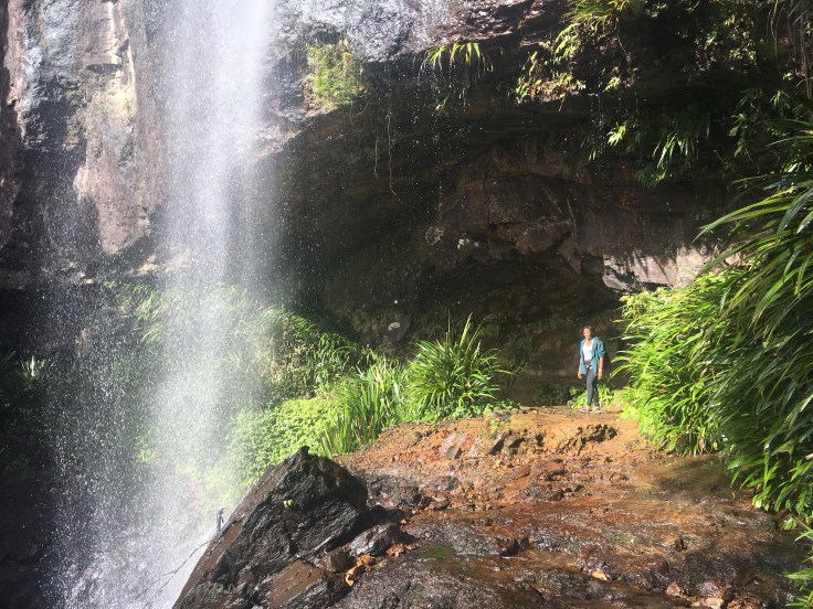 springbrook-national-park-rainbow-falls