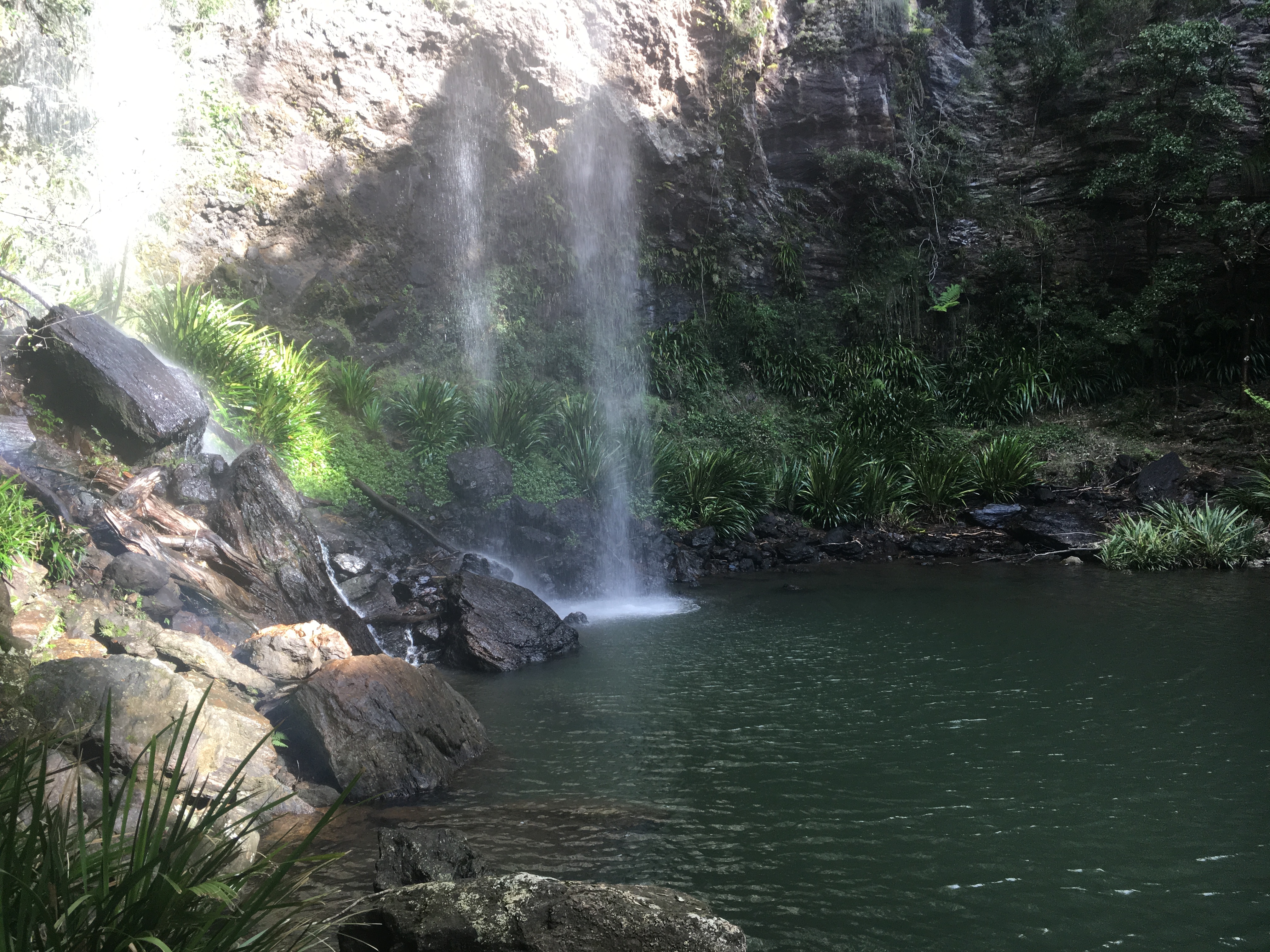 Springbrook Waterfall Springbrook National Park: The Warrie Circuit – How to see 9 Waterfalls ...