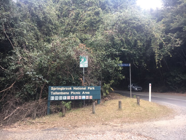 springbrook-tallambana-picnic-area