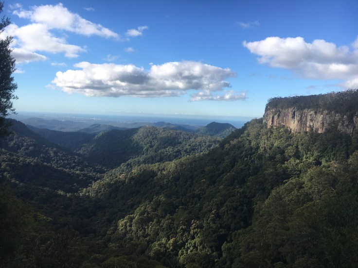 springbrook-national-park-canyon-lookout