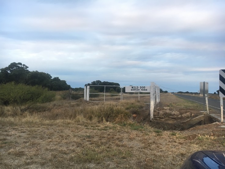 Wild Dog Barrier Fence